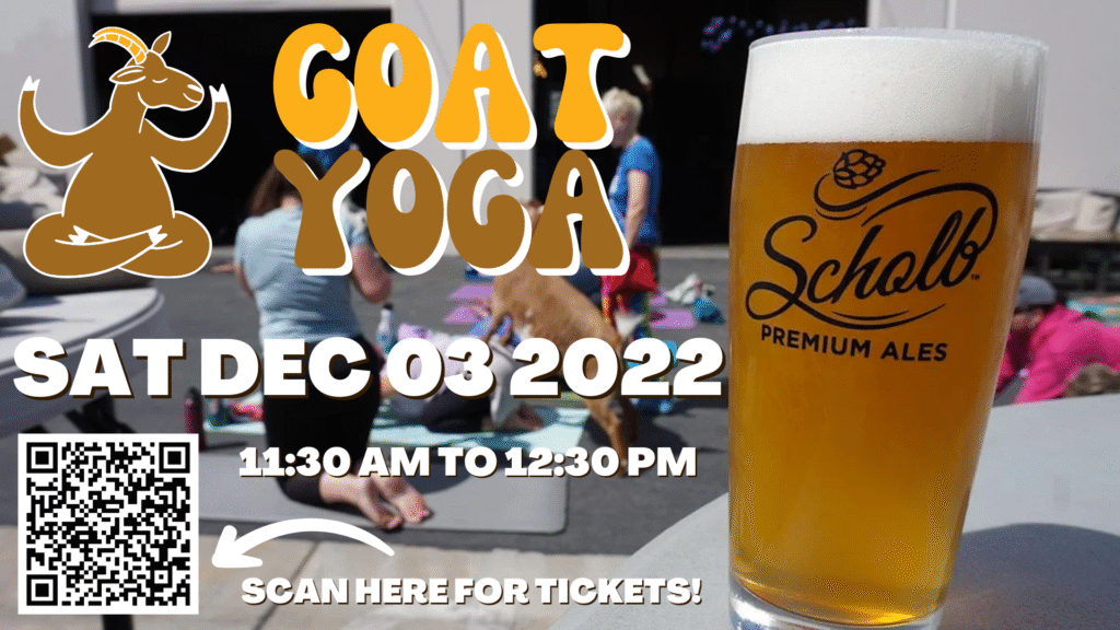 Free Infotainment screens - Free design, hosting, and maintenance-Event-GoatYoga